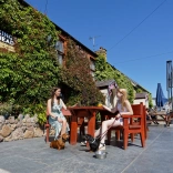 two women and dogs in beer garden.